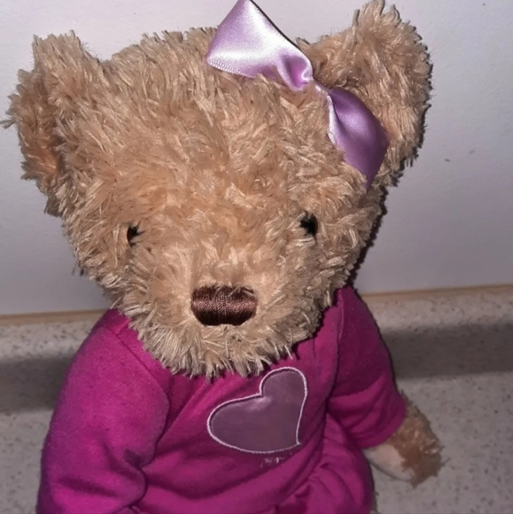 FAO Schwarz Toys R Us Teddy Bear Plush Stuffed Animal in Pink Heart Dress 2012 - Picture 2 of 5